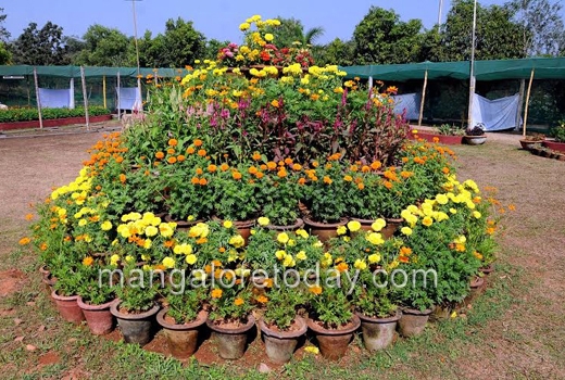 flower show at kadri park 1